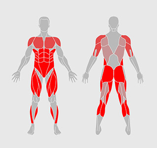 筋肉-エクササイズ-フィジーク-トレーニング-筋肉