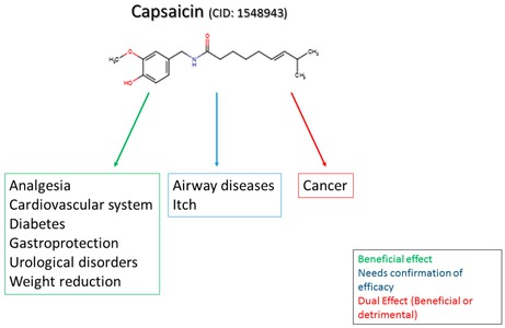 カプサイシンと疾患