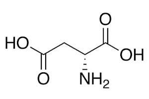D-アスパラギン酸テストステロン