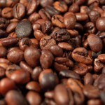 食欲抑制食品の代表格、カフェイン源-カフェイン・シード