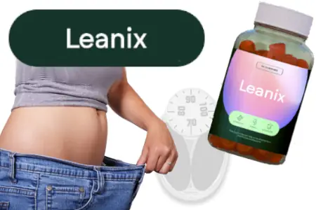 Leanix